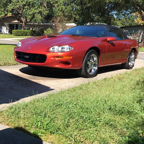 Meet your Posher, Robert - Picture 1 of 1